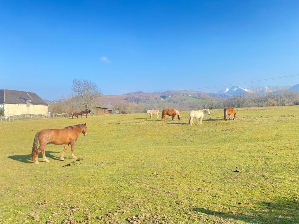 Maison de vacances Pays basque et Béarn - Capacité 14 personnes - Week-end, tourisme, séminaires, stages, réunions Lanne-en-Baretous Extérieur photo